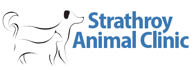 Strathroy Animal Clinic